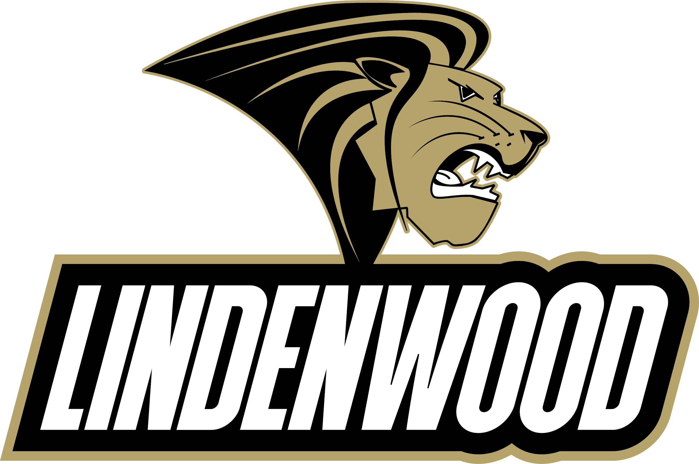 College logo