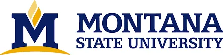 College logo