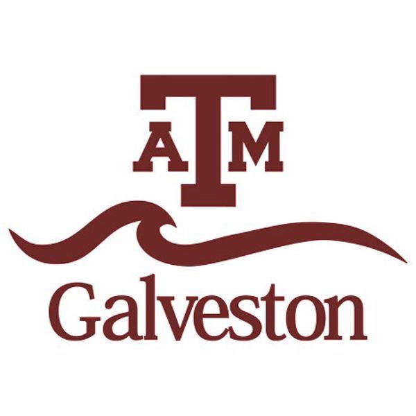 College logo